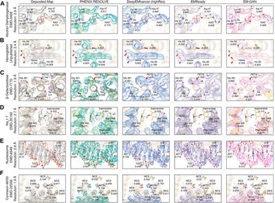 Machine learning approaches to cryoEM density modification differentially affect biomacromolecule and ligand density quality